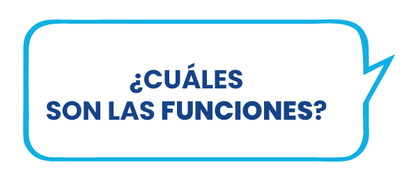 ¿Cuáles son las funciones?